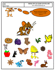 okul öncesi renkler çalışma sayfaları; verilen resimle aynı renkte olan resimleri işaretle